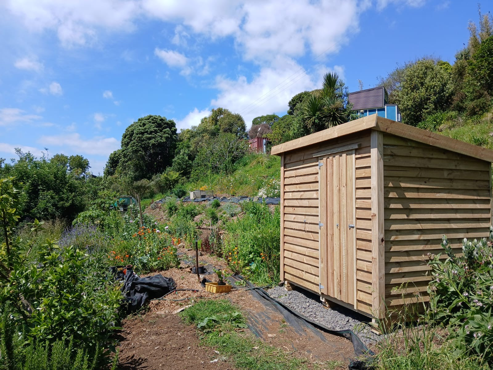 Kitset Pent Garden Sheds